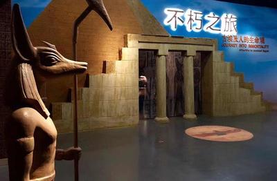 山东济南:踏青游继续火爆 文旅融合精彩不断