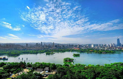 济南当年创城 若说不出 核心价值观 ,就说自己外地人