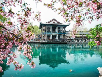 济南:五龙潭公园海棠花盛开 吸引游人驻足观赏