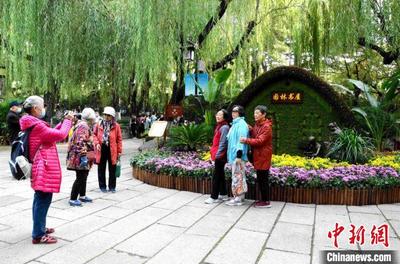 济南趵突泉金秋菊展开幕 名泉古雅建筑艳遇菊花盛宴