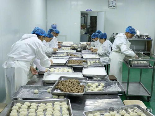 安城镇 全力当好 金牌店小二 ,以优质高效服务推动东部产业新城全面发展
