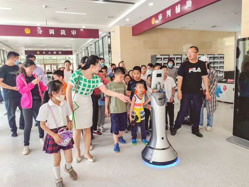 遇见未来的自己 济南历城区法院 今天, 小小审判长 法庭上敲响法槌