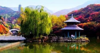 济南版 南山南 首发 我把济南唱给你听