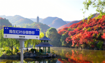 济南红叶谷第23届红叶节将于10月1日启幕