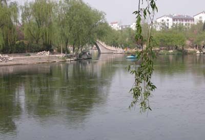 图:走进济南:“泉城”四月 春色撩人
