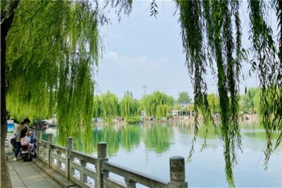 周日晴好宜上班!济南双节前夕秋雨上线 气温有望创新低